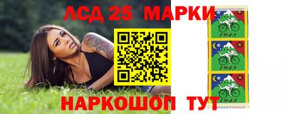 гашик Нальчик