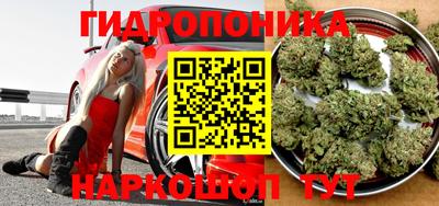 гашик Нальчик