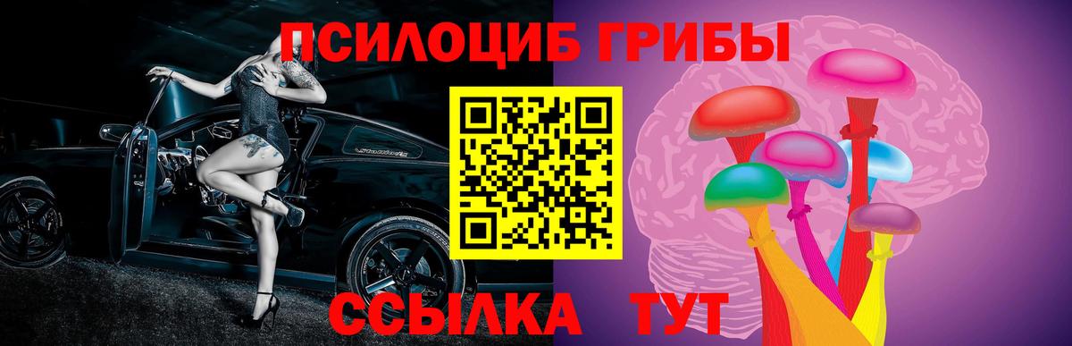 Галлюциногенные грибы GOLDEN TEACHER  Вход с VPN  Солнечногорск  Галлюциногенные грибы мухоморы 