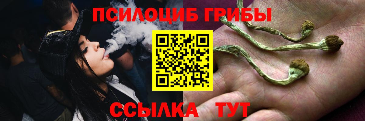 Галлюциногенные грибы GOLDEN TEACHER Солнечногорск